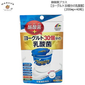 ヨーグルト30個分の乳酸菌+酪酸菌 8g(200mg×40粒) ユニマットリケン 【ポスト投函便】 乳酸菌 酪酸菌 ヨーグルト フェカリス菌 ラブレ菌 ビフィズス菌 KT-11乳酸菌 オリゴ糖 食物繊維