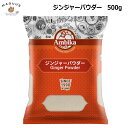 【500g/1kg/2kg】生姜粉末 ジンジャーパウダー 500g インド産 アンビカ 【ポスト投函便】 [HALAL/ハラール認証商品] …
