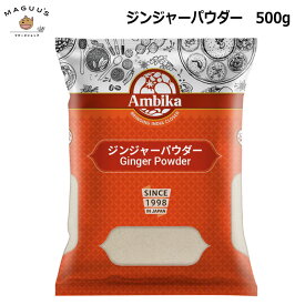 【500g/1kg/2kg】生姜粉末 ジンジャーパウダー 500g インド産 アンビカ 【ポスト投函便】 [HALAL/ハラール認証商品] 業務用 スパイス お得サイズ