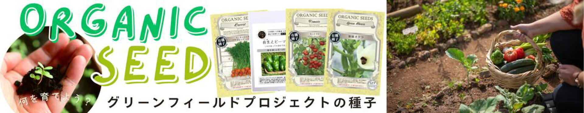 種まきシーズン到来！グリーンフィールドプロジェクト有機種子