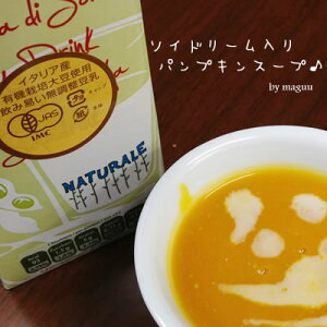 有機JAS認定イタリア産有機栽培大豆使用無調整豆乳SOYDREAM(ソイドリーム)おまとめ買い(1000ml×10本)