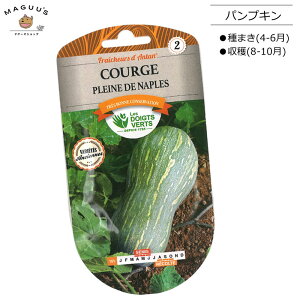 種まき(4-6月) パンプキン Pleine de Naples CATROS151 【ポスト投函便】 かぼちゃ 種 たね フランス 野菜 菜園