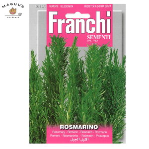 ܂(4-7,8-1)@[Y}[̎ [116/1]@Franchi n[u ()@y|XgFցz