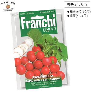 ��܂�(2-10��)�@���f�B�b�V���@RAVANELLO RAPID RED 2 SEL. SANOVA [112/29] franchi�� ��� ��(����) �y�|�X�g�����ցz
