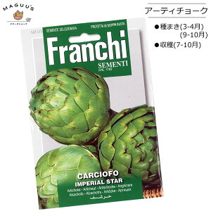 ܂(3-4E9-10) A[eB`[N IMPERIAL STAR [21/9]@Franchi@ n[u () y|Xgցz