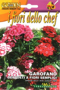 ܂(9-10/6-7) GfBut[E_CATX-GAROFANO del poeti a fiori sempliciyŒz[GLFE325/13]y|Xgցz  () Ԓd DIY