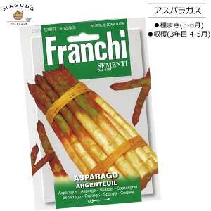 ܂(3-6) AXpKX ARGENTEUIL [5/1]@Franchi@ n[u () y|Xgցz