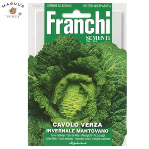 ܂(6-8)@T{CLxc̎ INVERNALE MANTOVANO [33/19] FranchiЁ@  Lxc ()y|Xgցz