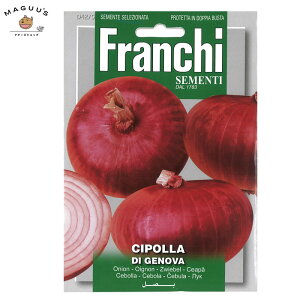 ܂(8-9) IjI WFmo@CIPOLLA DI GENOVA [42/5] Franchi  ʂ˂ ()@y|Xgցz