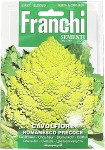܂(6-8)@Jt[E}lXR̎ CAVOLFIORE ROMANESCO PRECOCE [30/51] FranchiЁ@  Jt[ () y|Xgցz