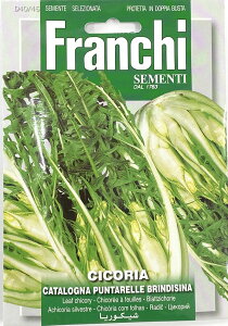 ܂(7-8)@v^bEAXpKX`R[̎ [40/46] FranchiЁ@  `R[ ()@y|Xgցz