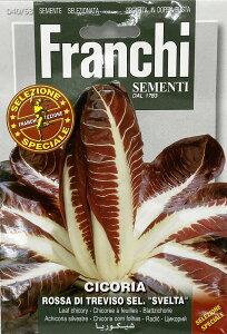 ܂(8-10)@[t`R̎ CICORIA ROSSA DI TREVISO SEL.SVELTA [40/53] FranchiЁ@  n[u () y|Xgցz