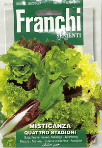 ܂(9-10/2-6)@C^AXN̎ MISTICANZA QUATTRO STAGIONI [93/4] FranchiЁ@  n[u () y|Xgցz