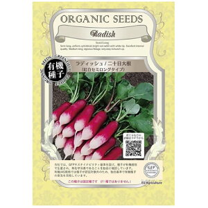 L@q O[tB[h A009 fBbV/\卪 gZ~O^Cv 0.7g(120) Œ ˁy|Xgz