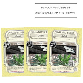 楽天市場 西洋ゴボウの通販