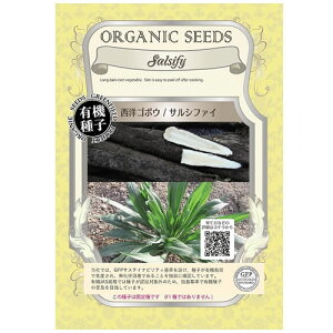 有機種子 グリーンフィールド A168 西洋ゴボウ/サルシファイ ごぼう 御坊 0.5g(約30粒)固定種 たね タネ 【ポスト投函便対象】