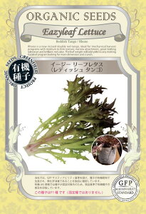 L@q O[tB[h A709 C[W[ [t^XfBbV ^S 15F1  ^ly|Xgz