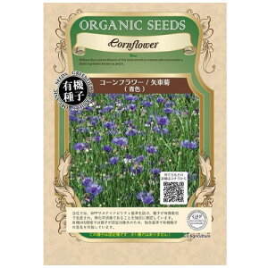 L@q O[tB[h a169 R[t[ 100  Œy|Xgz