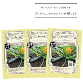 楽天市場 花ズッキーニの通販