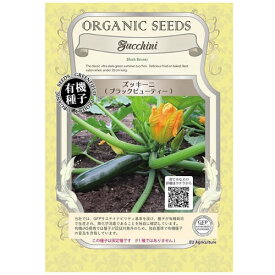 楽天市場 ズッキーニ の 花の通販
