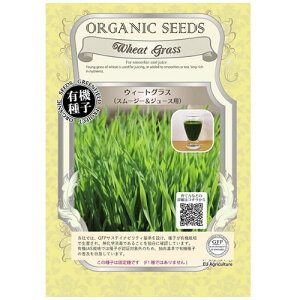 L@q O[tB[h A281 EB[gOX/(X[W[W[Xp) 25gŒ  ^l y|Xgցz