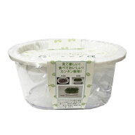 おうちでベジ スプラウト栽培容器【ホワイト】 グリーンフィールドプロジェクト【送料無料】/ ブロッコリ…