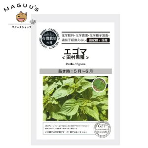 L@q O[tB[h A502 GS}(c) 2.0g `Ӗ  Y Œ ˁy|Xgz