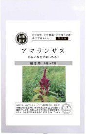 有機種子 A535 アマランサス 100粒 固定種 たね グリーンフィールドプロジェクト 【ポスト投函】