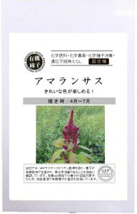 L@q O[tB[h A535 A}TX 100Œ ˁy|Xgz