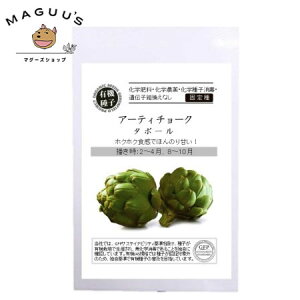 L@q O[tB[h A585 A[eB`[N/^{[ 6 Œ ˁy|Xgz