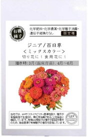 有機種子 グリーンフィールド a592 ジニア 百日草 ミックスカラー 約12粒 固定種 たね【ポスト投函】