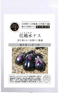 有機種子 グリーンフィールド a597 なす/ナス/信越水ナス 10粒 固定種 国産 自然農法【ポスト投函】
