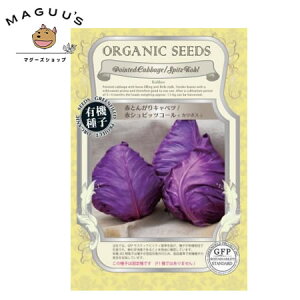 L@q O[tB[h A619 ԂƂ񂪂Lxc ԃVsbcR[ J{X 40y|Xgցz