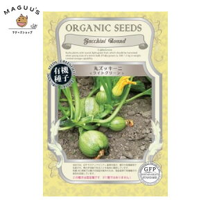 L@q O[tB[h a628 ۃYbL[j CgO[ 20 Œ  ^ly|Xgz