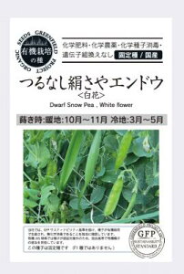 L@q O[tB[h ȂGhE() 18yL@͔|̎z Œ ˁy|Xgz