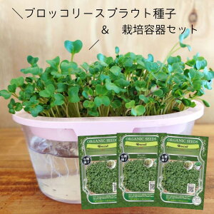 すぐ始められる!【セット】有機種子 ブロッコリースプラウトの種 (小袋12g)×3個+栽培容器セット グリーンフィールドプロジェクト