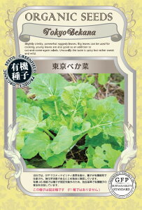 L@q A651 ׂ 1.2g(430) Œ  ^l O[tB[h y|Xgz