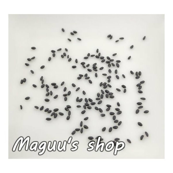 Yahoo ショッピング Paypayポイントがもらえる ネット通販