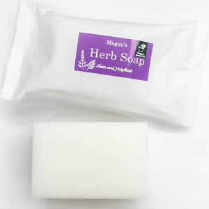 yyVX[p[Z[ԒSi|Cg5{zMAGI j[z[[oW ΂ }O[Yn[u\[v 110g y|XgցzΌ