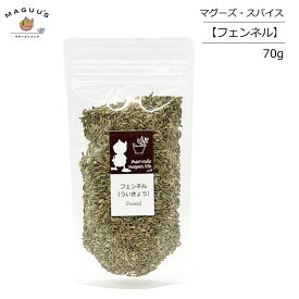 Ayurvedic maguu's life マグーズスパイス フェンネルシード インド産 70g【ポスト投函】