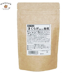 y1/3/5/10܁zG@EFC@炰܂邲ƕ 40g / LNQ ؎ pE_[