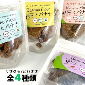 UNbƃoii S4 yzցzoiit[ WX^gX^[`  Oet[