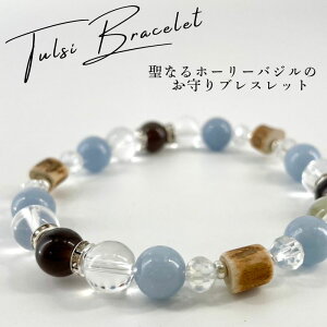 z[[oWuXbg MTCY(17cm)gDV[r[Y/ACXIuVfBA/GWFCg/Mtg v[g TULSI gDV[yMaguu's farmz