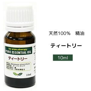  GbZVIC eB[g[ 10ml@lC`[[NXy|XgցzA}IC