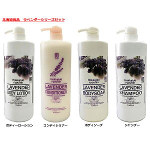 kCǕi x_[V[Y Zbg (Vv[ERfBVi[E{fB\[vE{fB[V) e1000ml×1{ yz