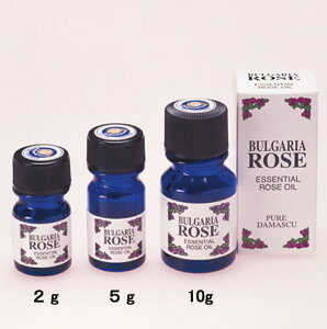 y1g/2g/5g/10gzuKA[YWp [Y GbZVIC / _}XN[Y [YIC 100VR o/C@