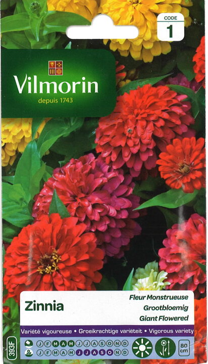 楽天市場 種まき 3 5月 ジニアの種 Fleur Monstrueuse Vilmorin 393f 有効期限23年7月 ポスト投函便 花 種 たね 花壇 切り花 サマーガーデン マグーズショップ