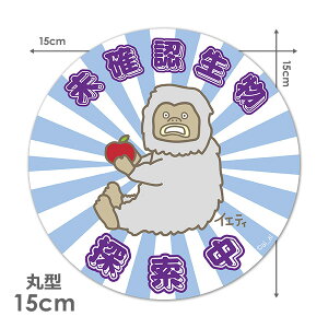 y}OlbgXebJ[zCGeBymFTz ی^15cmԃ}OlbgXebJ[ 䂤pPbgΉ210~`