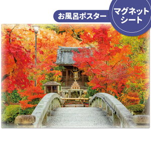 C|X^[ ӂ|X^[ysz}OlbgV[gyz֌zyLMtgbsOΉz