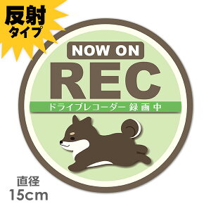 y˃}OlbgXebJ[zhCuR[_[^撆 ͂鍕 Č ΐFyNOW ON RECzی^15cm ԃ}OlbgXebJ[ 䂤pPbgΉ210~`